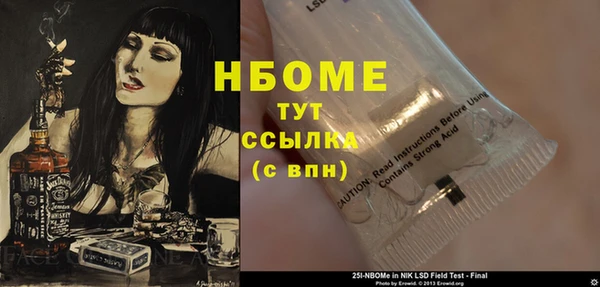 дмт Пересвет